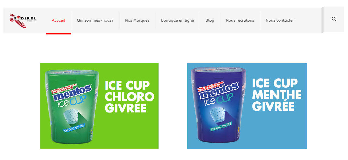 Lire la suite à propos de l’article Le nouveau site internet Sodirel est en ligne